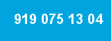 919 075 13 04 919 075 13 04